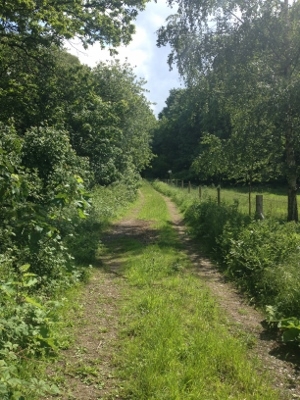 The Longhorn, SBR Events, Ultra, Thoresby